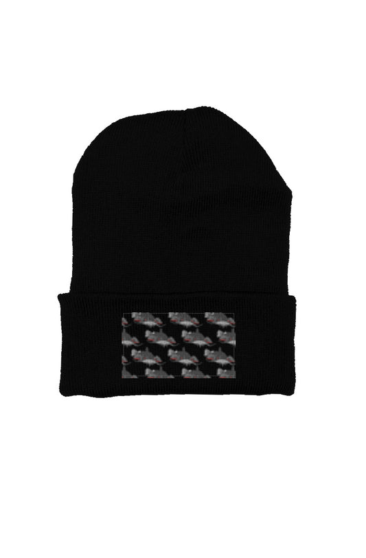 Flathead beanie